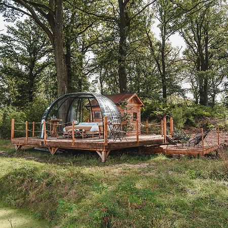 La Ferme De Basseilles Guest House Mozet Eksteriør bilde