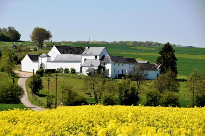 La Ferme De Basseilles Guest House Mozet Eksteriør bilde