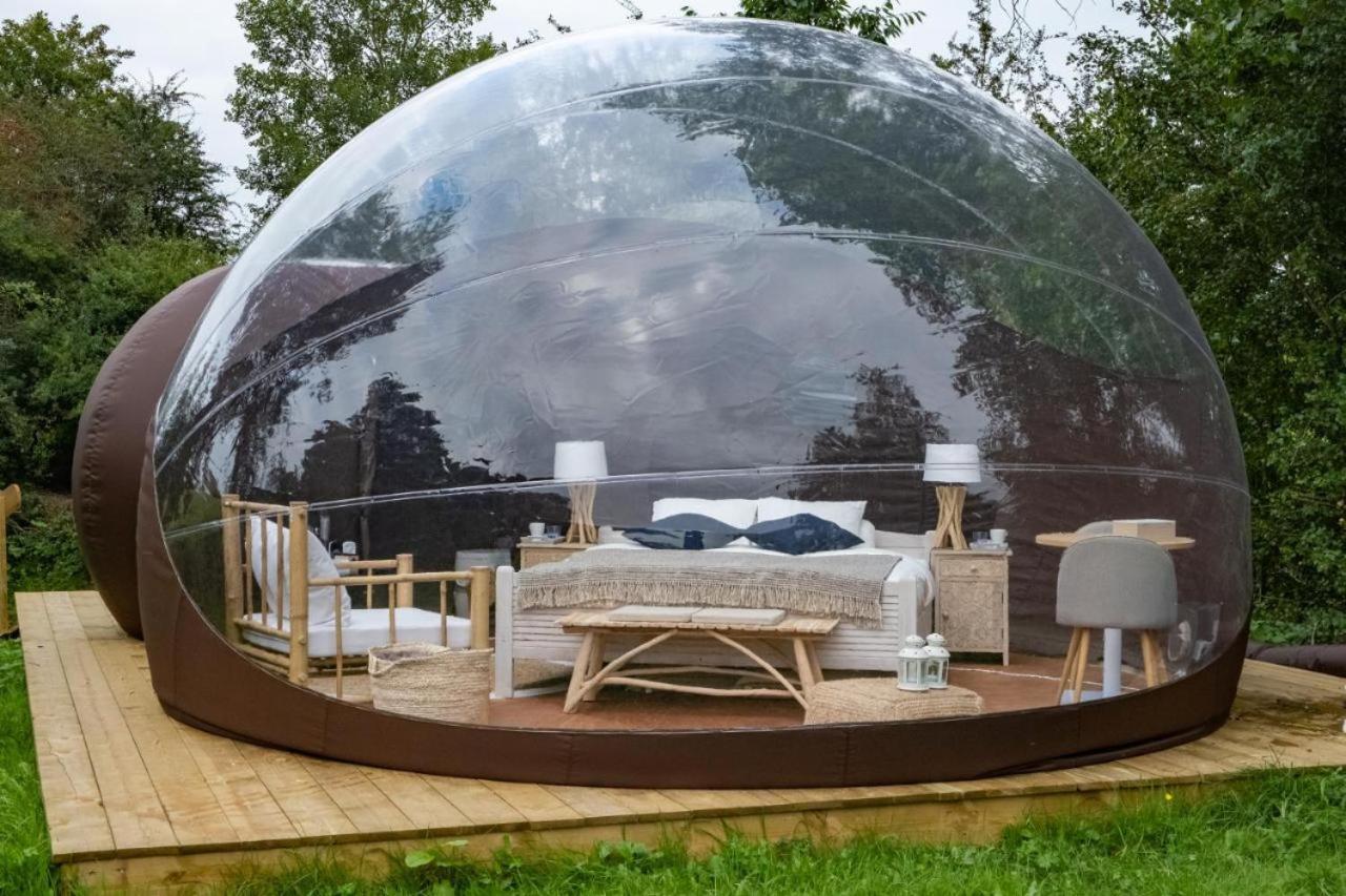 La Ferme De Basseilles Guest House Mozet Eksteriør bilde